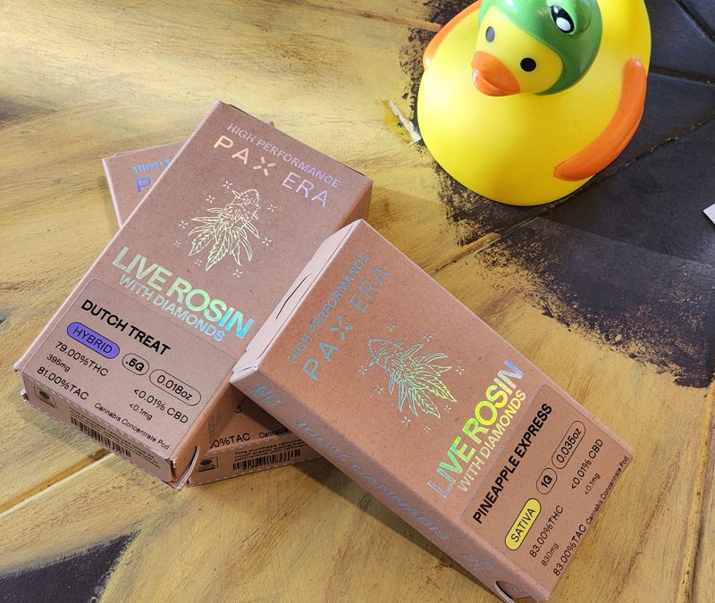 Adventure Ready: PAX Vapes & Pods In Stock