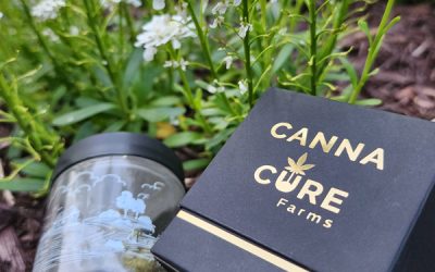 Strain of the Week: Bee Jelly By Canna Cure Farms