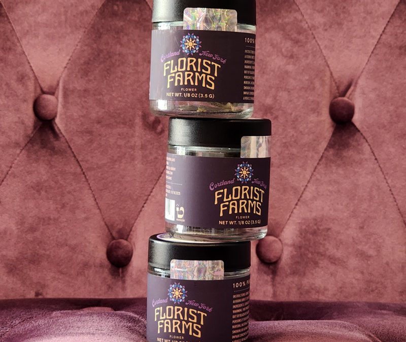 Strain of the Week: Velvet Lushers by Florist Farms