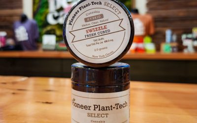 Strain of the Week – Swizzle by Pioneer Plant Tech