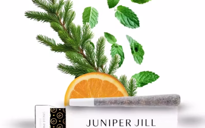 Strain of the Week: Holy Grail by Juniper Jill