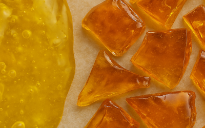 Resin Vs Rosin, What’s The Difference?