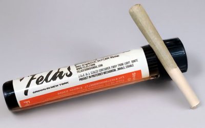 Strain of the Week: Strawberry Gelato by Fela’s Farm