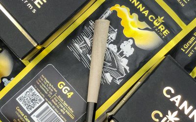Strain of the Week: Gorilla Glue #4 by Canna Cure