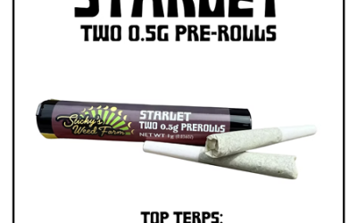 Strain of the Week: Starlet by Sticky’s Weed Farm