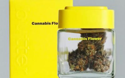 Strain of the Week: Chimera Junkie by Butter