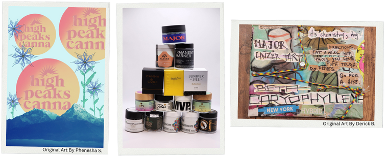 Trees for the Holidays